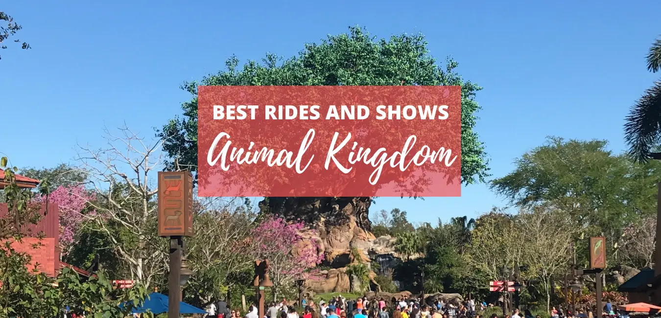 The Very Best Rides and Attractions in Animal Kingdom 2023 - Next Stop WDW