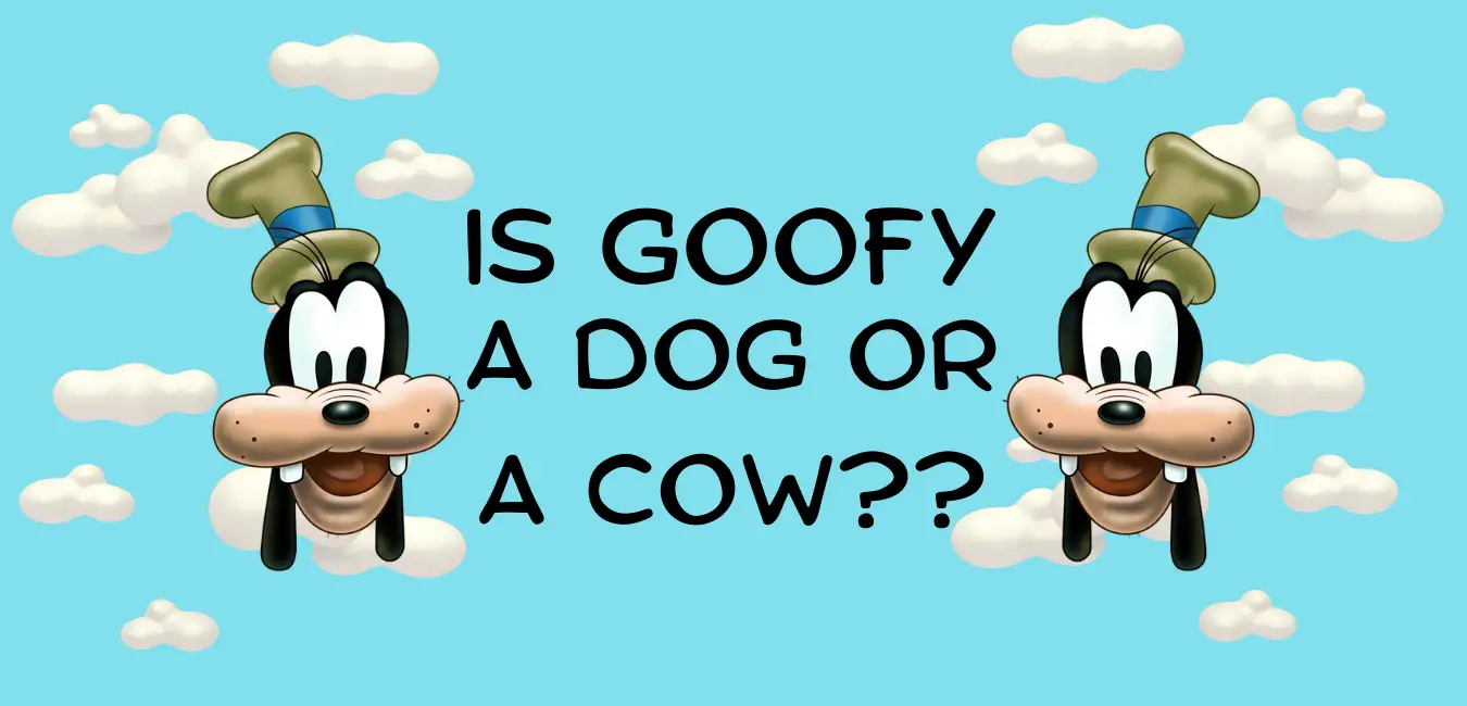 What Animal is Goofy - Is he a Dog or a Cow? - Next Stop WDW